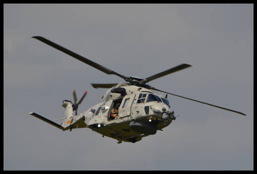 Dutch NH-90 II