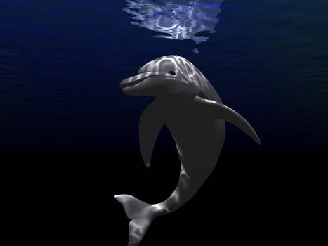 dolphin I