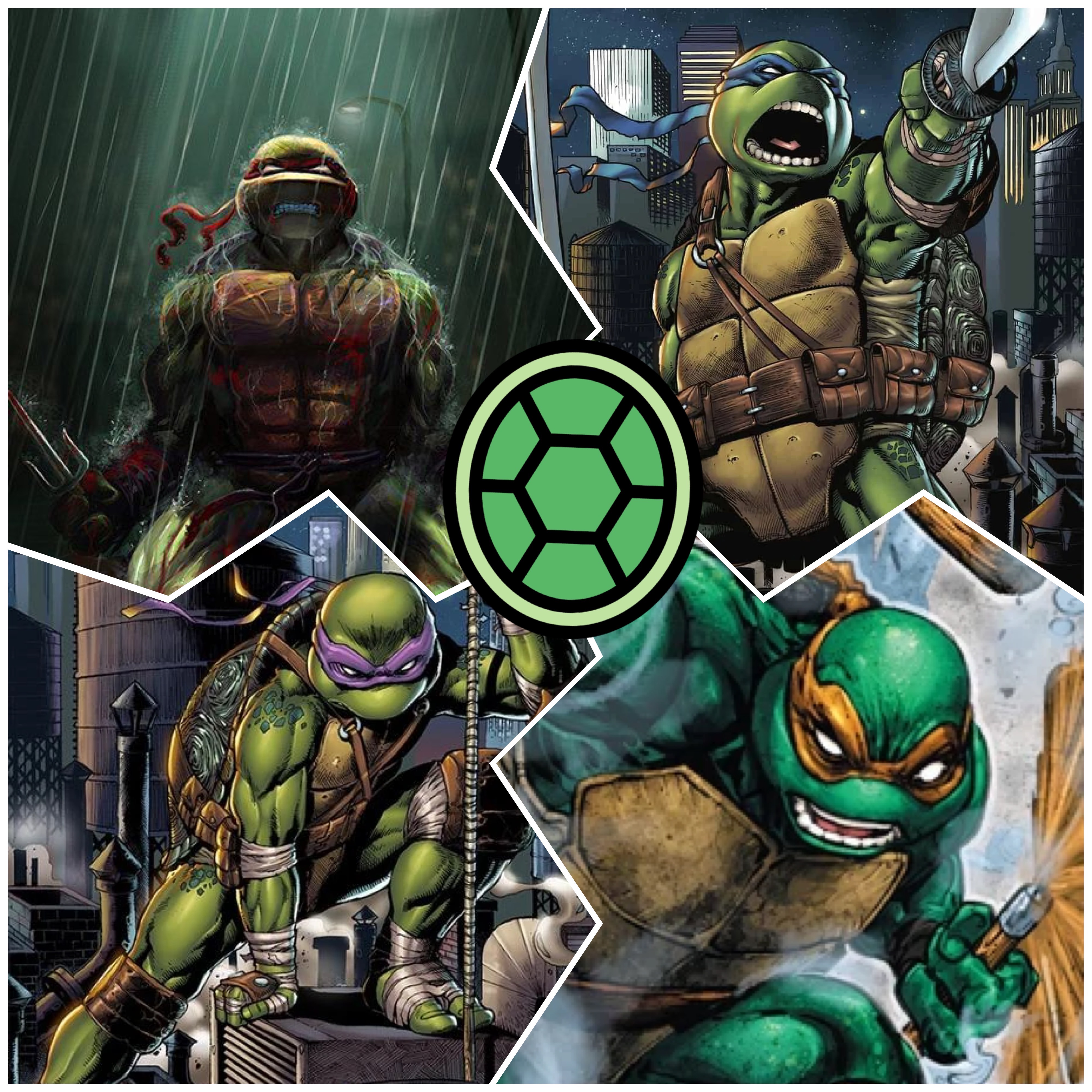 Shell Shock Turtle Teenage Mutant Ninja Turtles Shell Shock