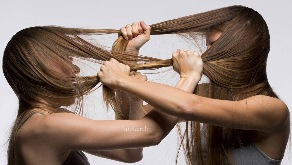 Hair Fight Deviantart The Art of Hairpulling by bookertlm on DeviantArt