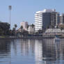 AL Lang Stadium, St Petersburg Florida 33