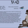 This is VLAD