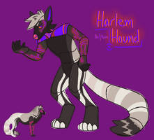 Harlem Hound