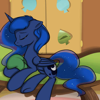 Luna's Pillow