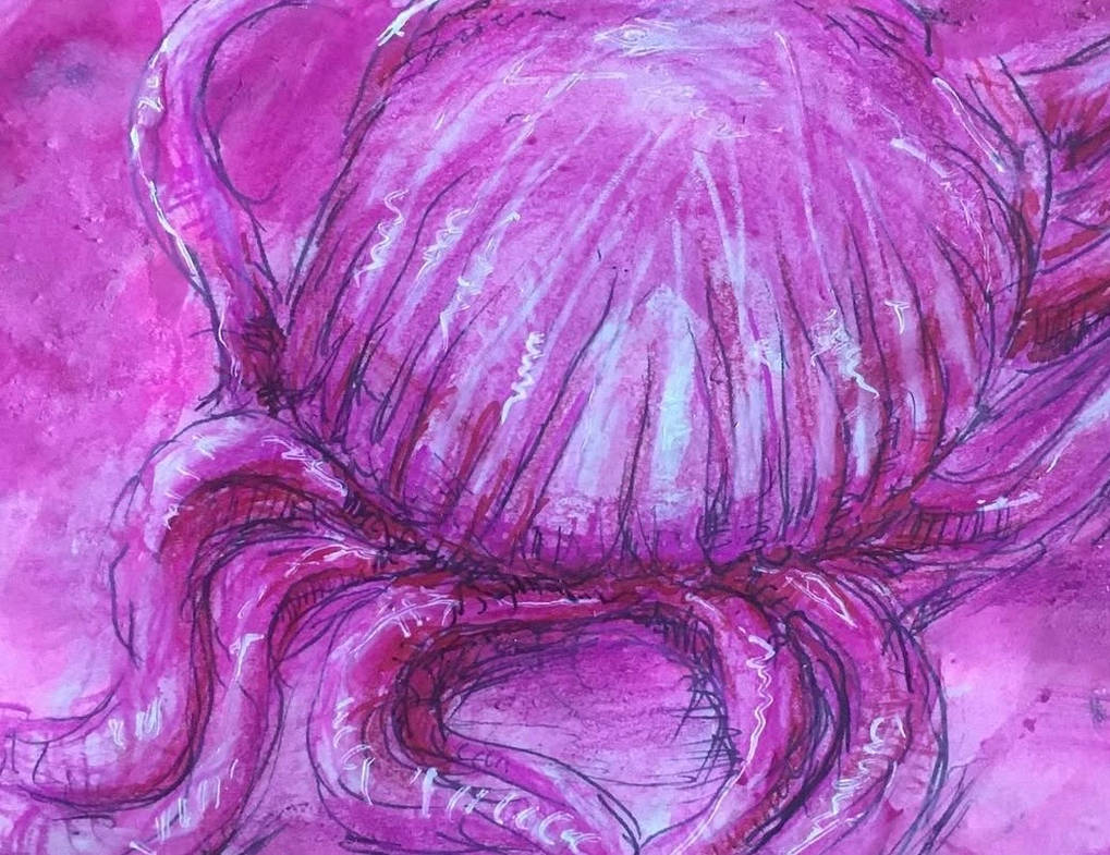 Shell Dye Fandom Shell by Blooy on DeviantArt