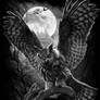 Night Hunter