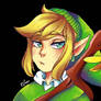 Link the musician