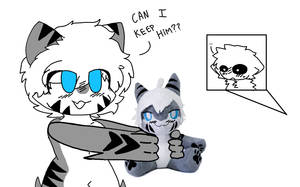 tiger shark has his plushie
