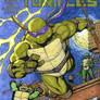 TMNT sketch cover