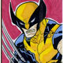 Wolverine PSC commission