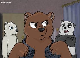 THE BEARS