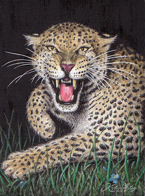 Leopard