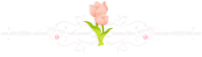 Divider [Tulips]