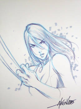 X-23 by Alvin Lee