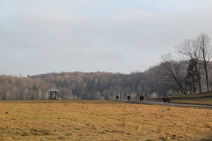 Parc Omega - Quebec