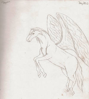 Pegasus