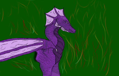 Purple Dragon