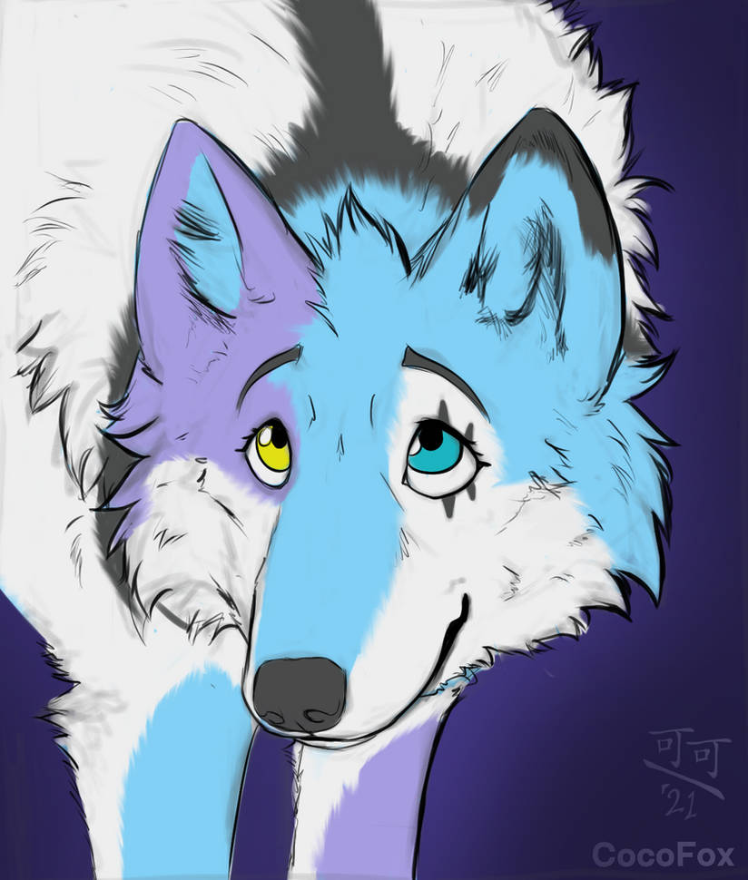 Bluewolves By Cocofox by Yakuro13 on DeviantArt