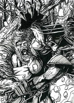 Wolverine Sabretooth ATC Inks