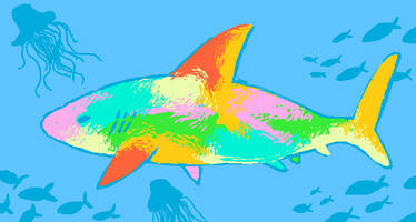 Colorful Shark