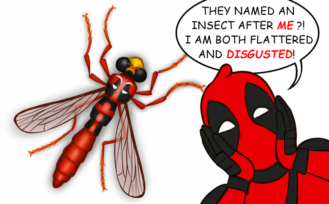 Deadpool fly by MagzieArt on DeviantArt