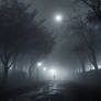 A spooky haze mist in this surreal image showcases
