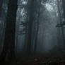 Image-f0a15c5e-55e7-4d46-a3fa-b4854f1d6b89