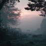 A-spooky-haze-mist-in-this-image-showcases-an-ench