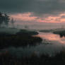 A-misty-swamp-like-a-work-of-art-by-rembrandt-come