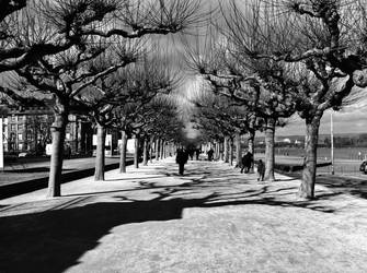 Mainz Promenade