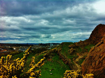 Edinburgh and Gorse