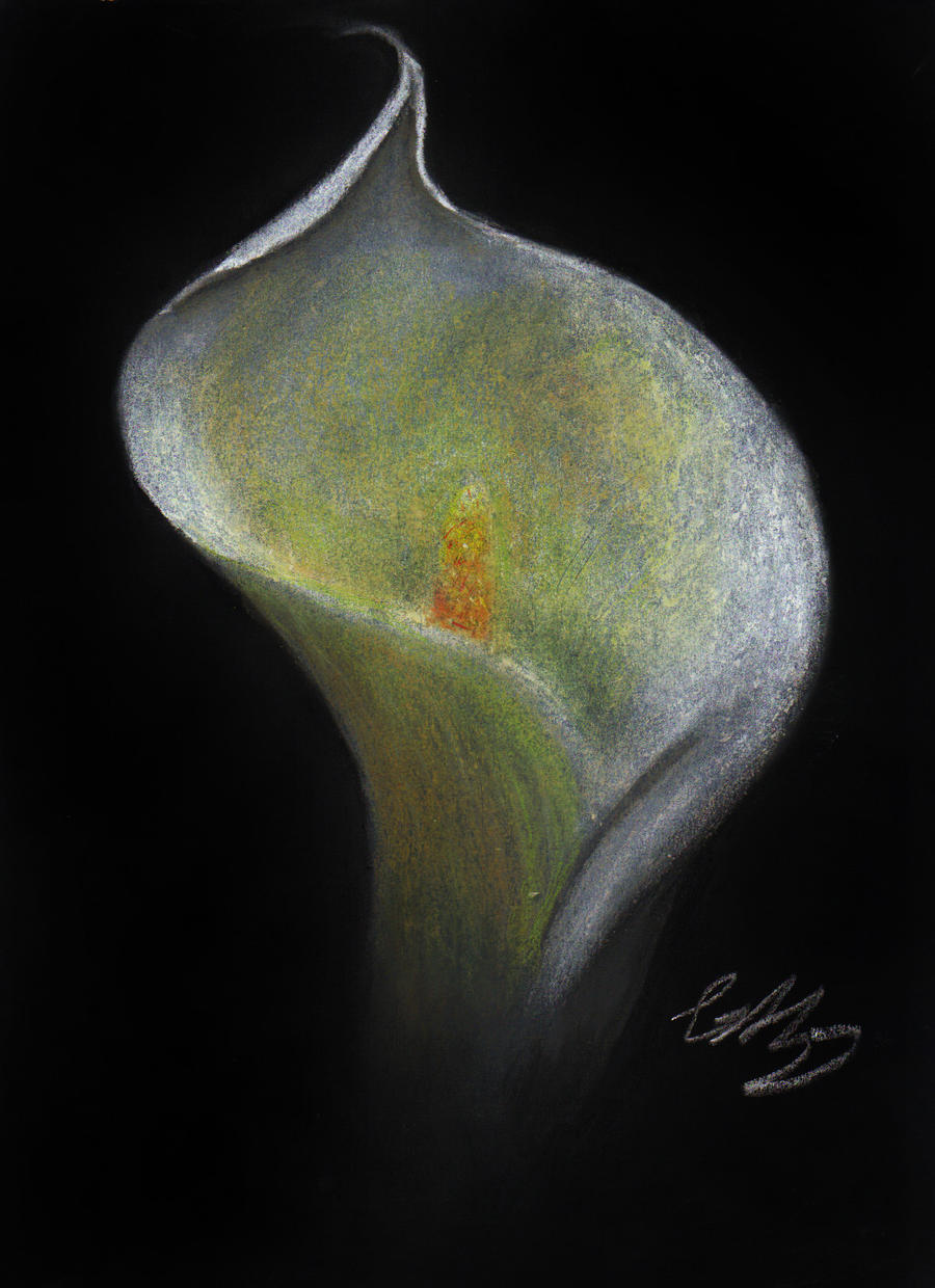 Calla Lily Commission