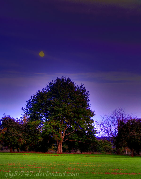 la lune au coucher du soleil