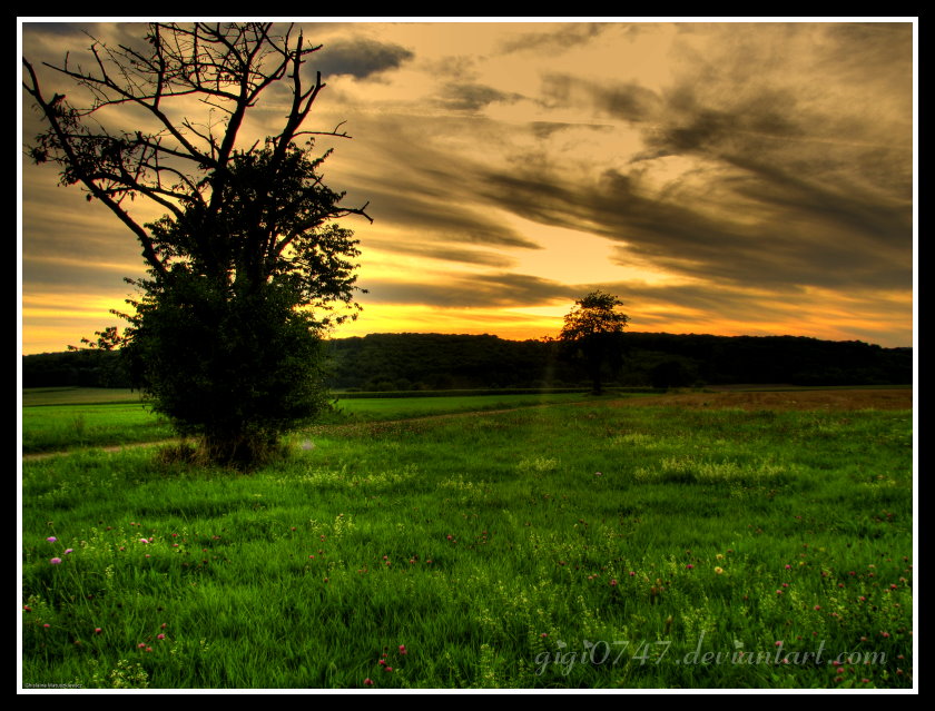 deux arbres