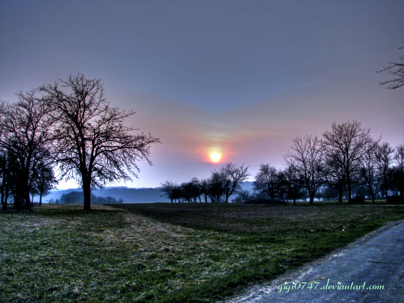 coucher de soleil sur laplaine