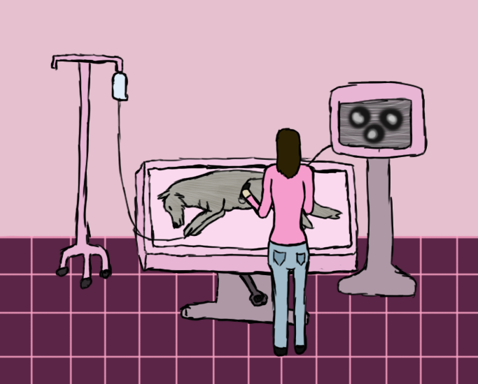 Faolan Ultrasound