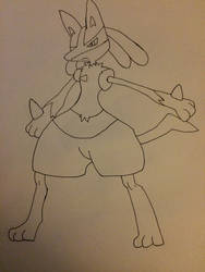 Lucario (finished)