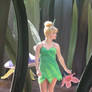 Tinkerbell 02