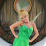 Typical Tinkerbell