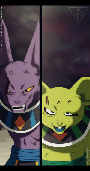 Dragon Ball Super 29 Beerus Vs Kitera