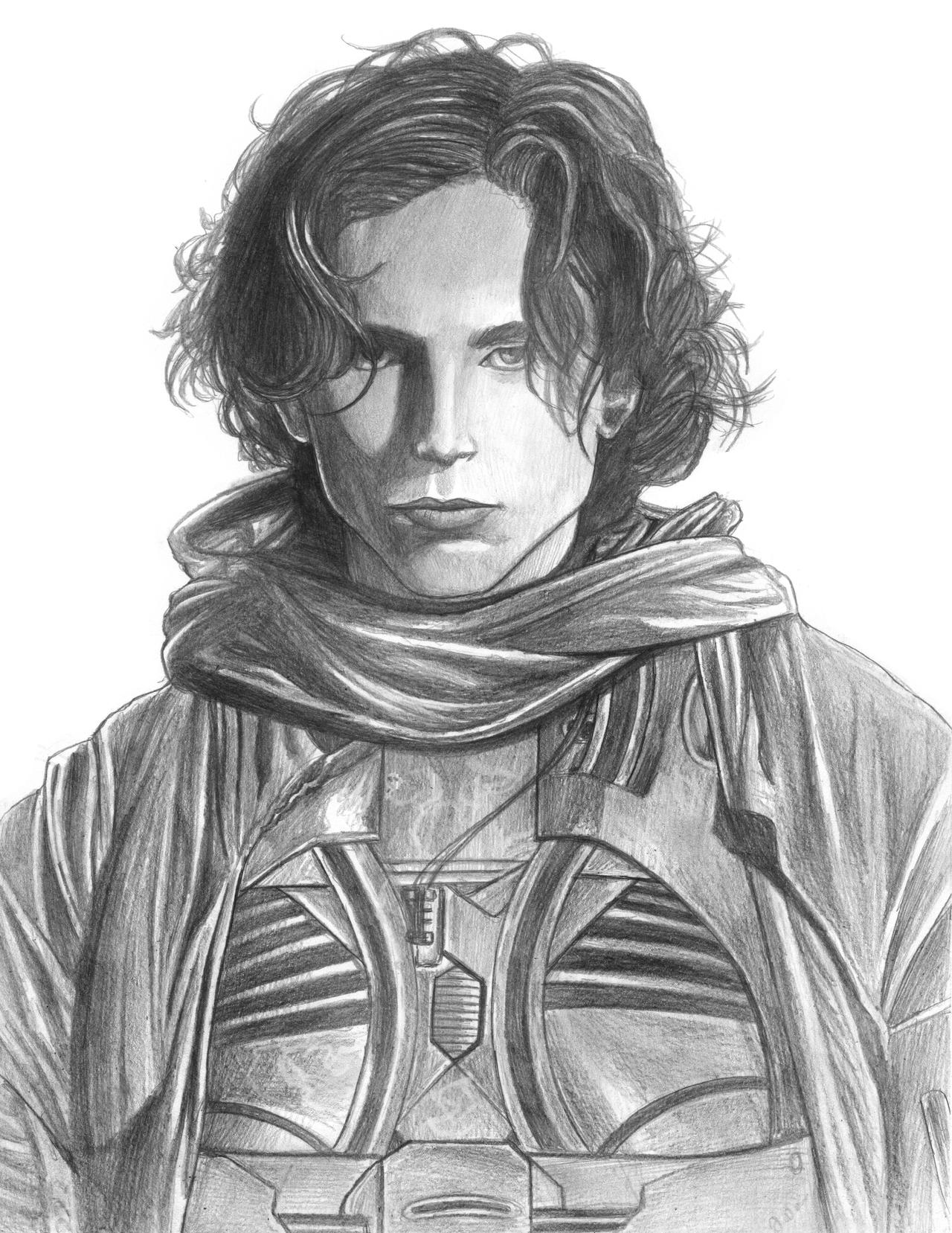 Paul Atreides (Dune 2020) by SoulStryder210 on DeviantArt