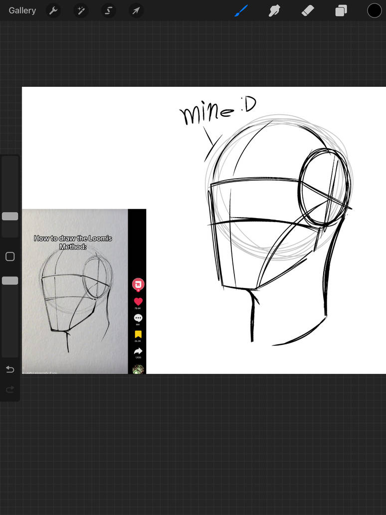 Simple Head Base Simple head practice by AniDoodlez on DeviantArt