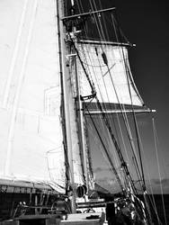 Tall ship