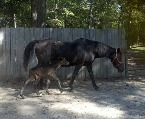 Mother and Son