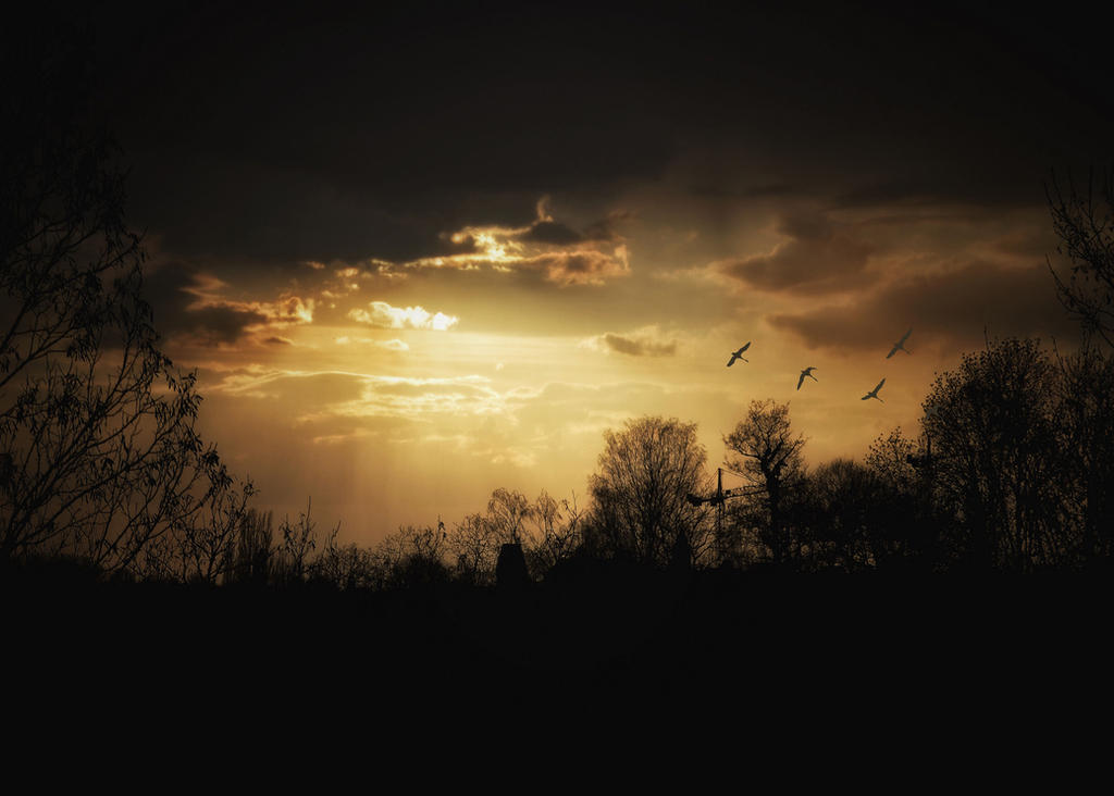 Romantic landscape at sunset