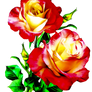 Roses-4a PNG