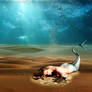 Mermaid On The Seabed