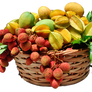 Tropical Fruits Png