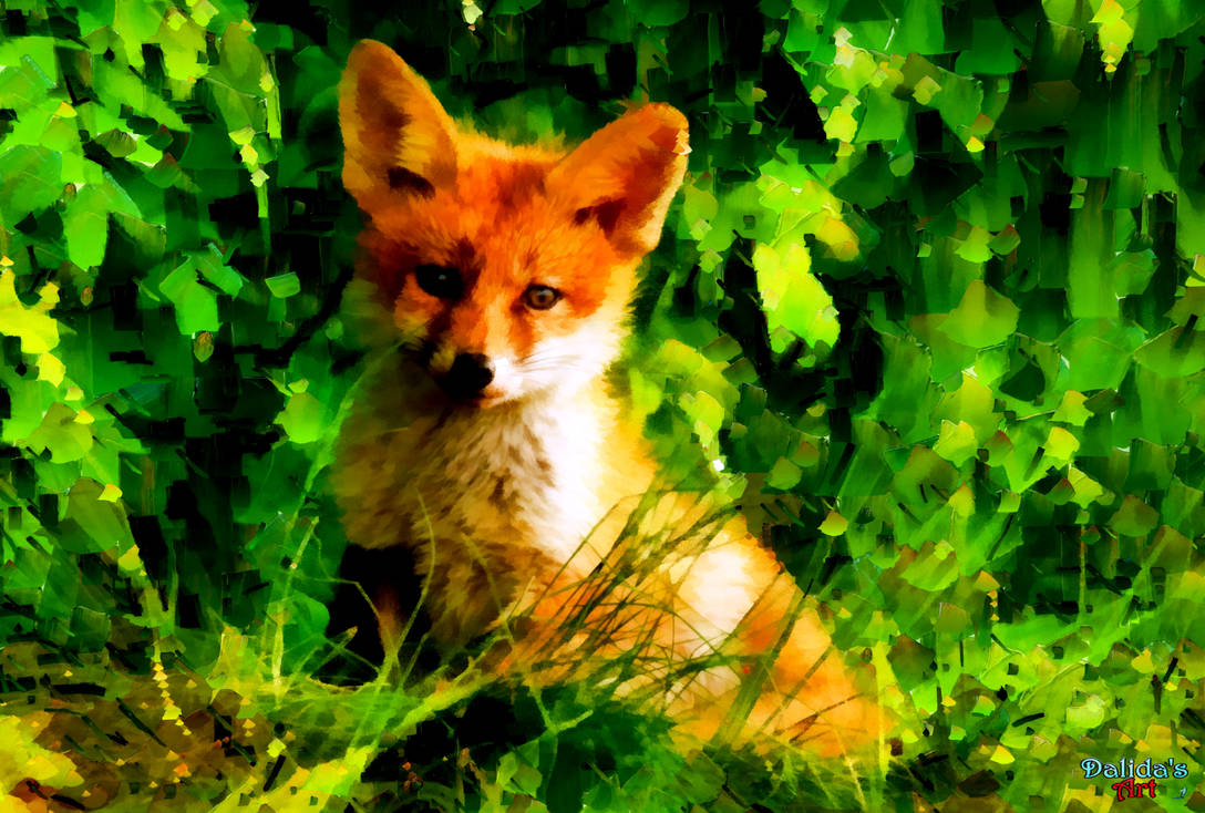 Scared Little Fox by Dalidas-Art on DeviantArt