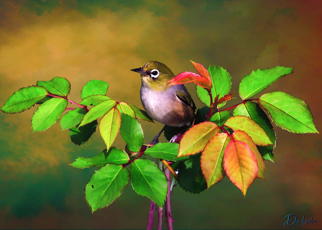 Bird On Rose by Dalidas-Art on DeviantArt
